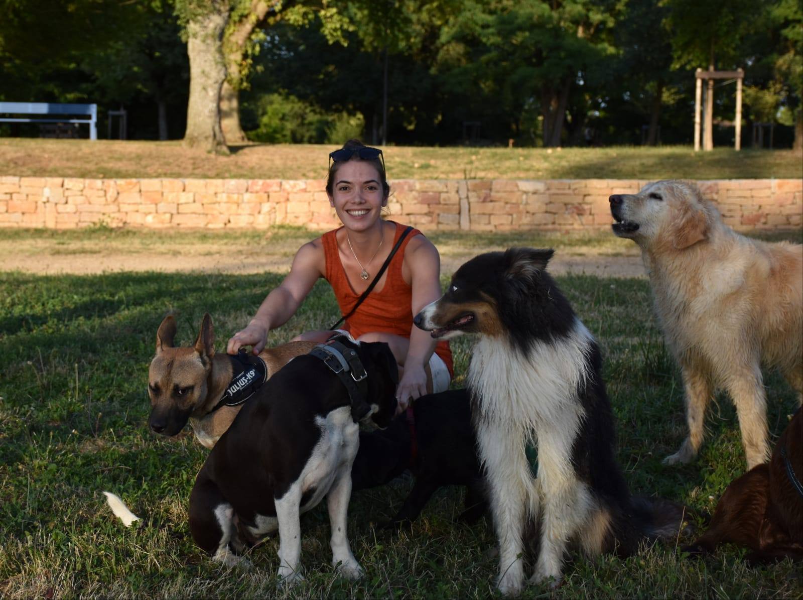éducation et dressage de chiens Savoie